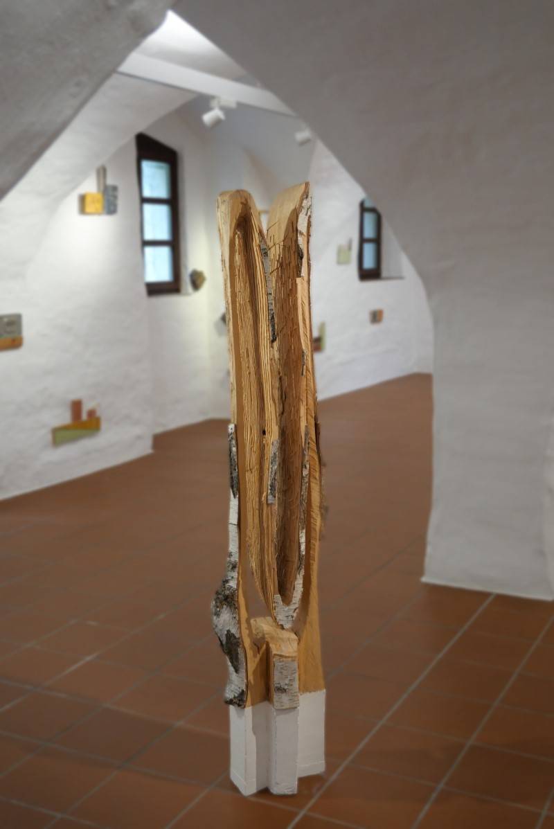 Harald Kienle